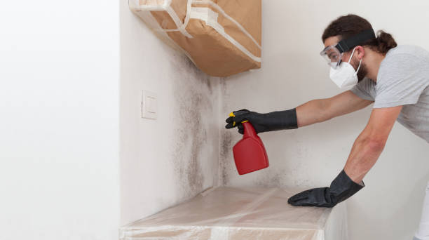 Professional Bathroom Mold Removal technician working in Allendale, MI
