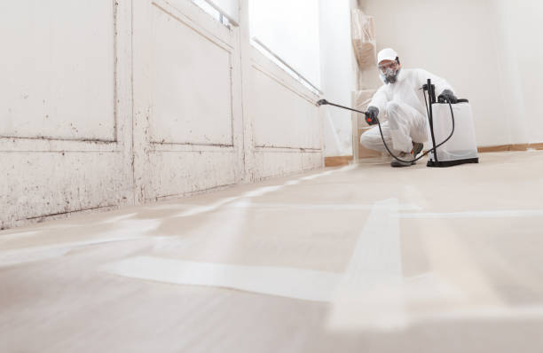 24/7 Emergency Bathroom Mold Removal experts in Allendale, MI